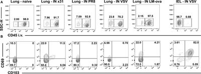 Incomplete Memories: The Natural Suppression of Tissue-Resident Memory CD8 T Cells in the Lung